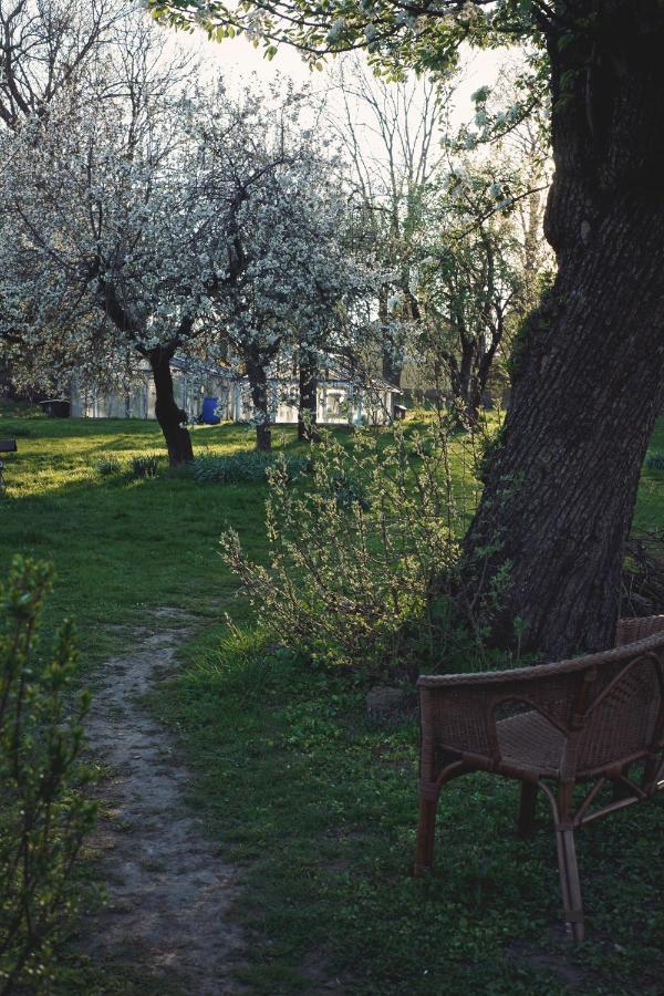 Osada Ptasnik Bed & Breakfast Pobiedna Exterior photo